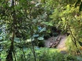 Masoala Rainforest - Der Masoala Regenwald - La ForÃÂªt Pluviale de Masoala - La Foresta pluviale Masoala - The Zoo ZÃÂ¼rich Zuerich
