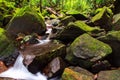 Masoala rainforest river rocks