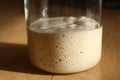 Wild Yeast Sourdough Starter Royalty Free Stock Photo