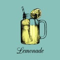 Mason jar isolated. Vector home made lemonade with straw and slice of lemon color illustration. Sketch of soft drink. Royalty Free Stock Photo