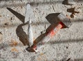 Mason tools on debris background Royalty Free Stock Photo