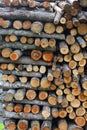 Masonry sawn logs texture