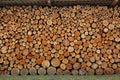 Texture of a woodpile made of round logs