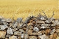 Masonry stone wall golden summer field Royalty Free Stock Photo