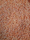 MASOOR DAL ,VERY POPULAR INDIAN SEED