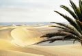 Maspalomas beach with sandy dunes. Gran Canaria, Canary islands, Spain. Copy space.