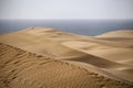 Maspalomas desert dunes Royalty Free Stock Photo