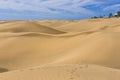 Maspalomas Duna - Desert in Canary island Gran Canaria Royalty Free Stock Photo