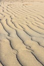 Maspalomas dunes, Gran Canaria