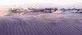 The Maspalomas dunes, Gran Canaria, Spain Royalty Free Stock Photo