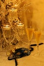 Masquerade, champers & opera Royalty Free Stock Photo