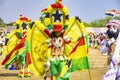 Masquerade and fancily dressed festival participant with Ghana flag dudring a festival Royalty Free Stock Photo