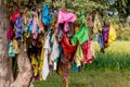 mass of colorful ribbons and cloths on a tree in india Royalty Free Stock Photo