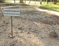 Mass grave at Killing Fields