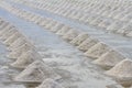 Mass of salt in salt seaside farm, Petchaburi Thai Royalty Free Stock Photo