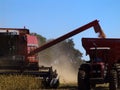 Mass soybean harvesting at a brazilian farm