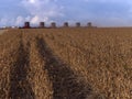 Mass soybean harvesting at a farm
