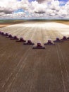 Mass soybean harvesting