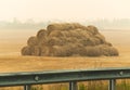 Mass stacked pile of hay ricks in foggy farm field by the road Royalty Free Stock Photo