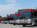 Mass Transit City Buses Parked Royalty Free Stock Photo