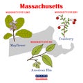 Massachusetts. Set of USA official state symbols