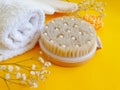 Massage brush, accessories bathroom relaxation soap on a colored background Royalty Free Stock Photo