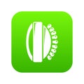 Massage brush icon green vector