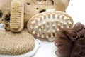 Massage brush and sponge with nailbrush Royalty Free Stock Photo