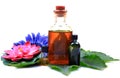 Massage oil bottles Royalty Free Stock Photo