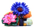 Massage oil bottles Royalty Free Stock Photo