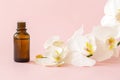 Massage oil. Orchid flower with natural oil in the Spa salon. Spa concept with white orchids on a pink background. Royalty Free Stock Photo