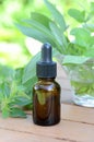 Massage oils with herbs Royalty Free Stock Photo