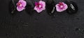 Massage stones and pink orchid flowers with water drops, spa and wellness concept Royalty Free Stock Photo