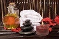 Massage Therapy Royalty Free Stock Photo