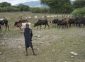Massai boy with his herd of cattle and goats Tanzania, Africa