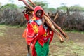 Massai man collecting firewood