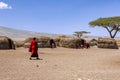 Massai villagers with their daily life inside an Massai village Royalty Free Stock Photo