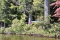 Massawepie lake adirondack scouts hammocks