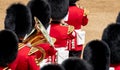 Massed band at the Trooping the Colour parade at Horse Guards, London UK, with reflection in the trumpet.