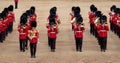 Massed band at Trooping the Colour parade at Horse Guards, London UK, with soldiers in iconic red and black uniform and bearskins