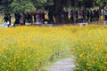 Masses do early exercise in amoy city, china