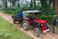 Massey Ferguson tractor and worker in coffee plantation, Coorg I