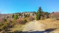 Massie Gap Trail at Grayson Highlands Royalty Free Stock Photo