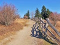 Massie Gap Trail at Grayson Highlands Royalty Free Stock Photo