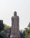 massive buddha statue view from different perspective in daylight Royalty Free Stock Photo