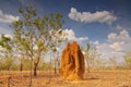 Massive cathedral termite mounds Nasutitermes triodae, Kakadu National Park, Northern Territory, Australia Royalty Free Stock Photo