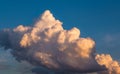 A massive cloud beautifully lit by the setting sun - cumulus congestus or towering cumulus Royalty Free Stock Photo