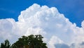 A massive cloud over the treetops Royalty Free Stock Photo