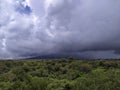 Massive Clouds Above Lush Forest