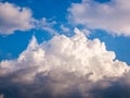 Massive clouds - Cumulus congestus or towering cumulus - forming in the blue sky Royalty Free Stock Photo